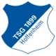 Blasone della squadra Hoffenheim