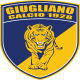 Blasone della squadra Giugliano