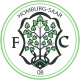 Blasone della squadra Homburg