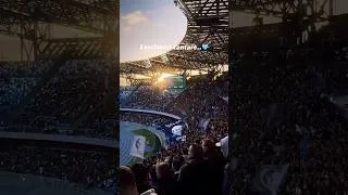 •Nuovo coro curva B• Napoli-Verona (04-02-2024) 🩵 #sscnapoli #ultras #ultrasnapoli #seriea #shorts