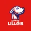 lepetitlillois.com